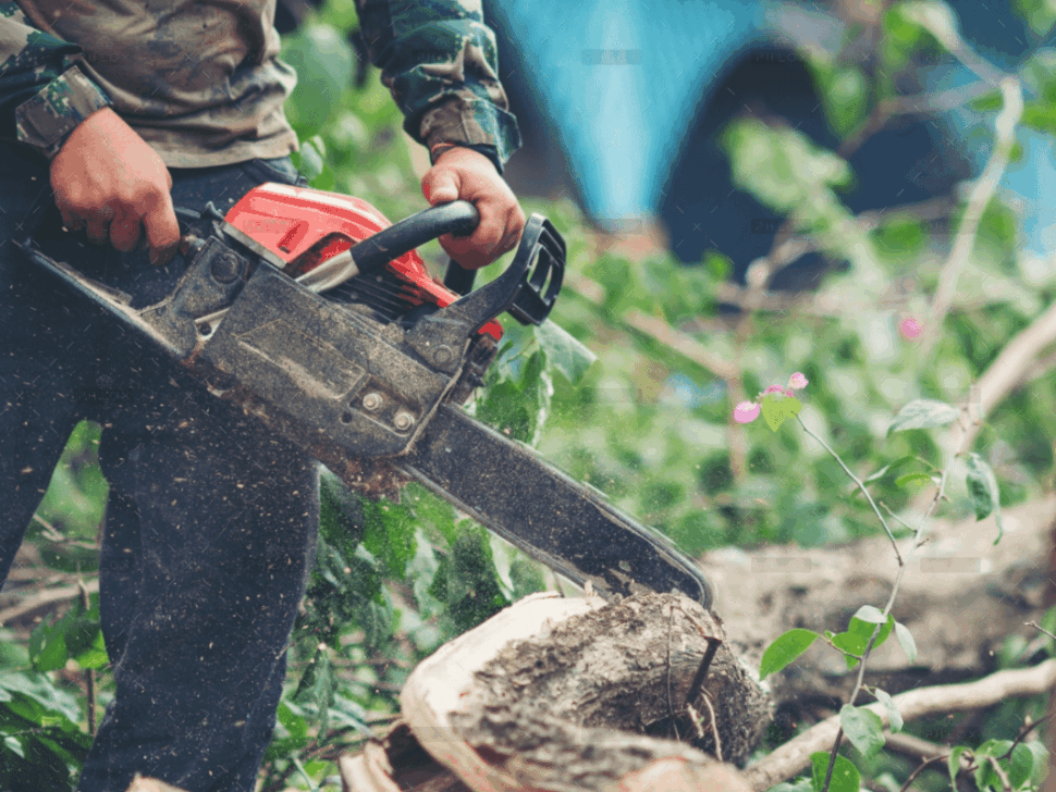 demo-attachment-1106-asian-man-cutting-trees-using-electrical-chainsaw